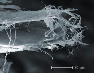 Острые концы волокон асбеста под микроскопом